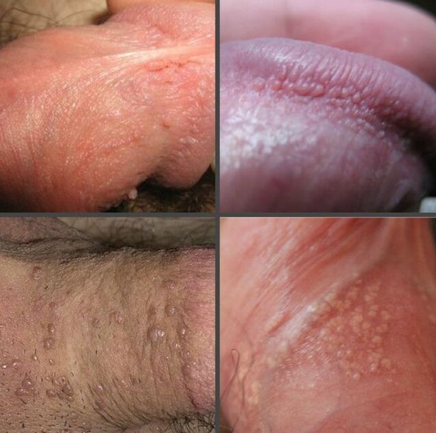 12 Inch Penis Artificial, Page 7 | femeie durdulie tub sexy - fat & sexy bbw porno videoclipuri